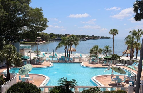 Pinellas Point Casa | Coastal Vibes Await: Dive into Adventurous Excursions and Tranquil Evenings