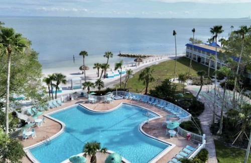 Pinellas Point Casa | Ideal Family Stay - Adventurous Excursions, Trendy Dining & Beach Escape