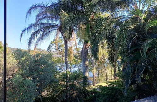 Tannum Sands Apartamento | Beautifully appointed Riverside Apartment with views near to river and beach.