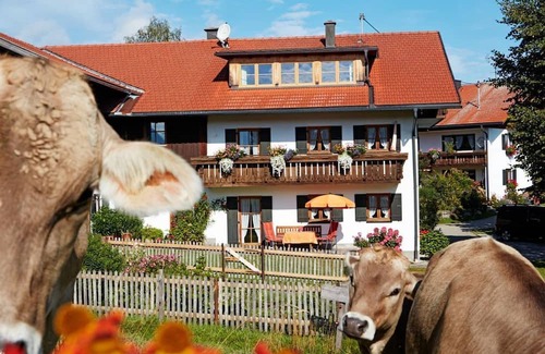 Nesselwang Apartamento | Vacation apartment Zugspitz, 1 bedroom, bath/shower/WC - Kögel, Ferienhaus