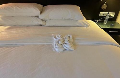 COEX Hotel | Dexter Hotel
