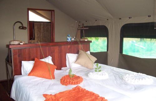 Sangwali Otro | Nkasa Lupala Tented Lodge