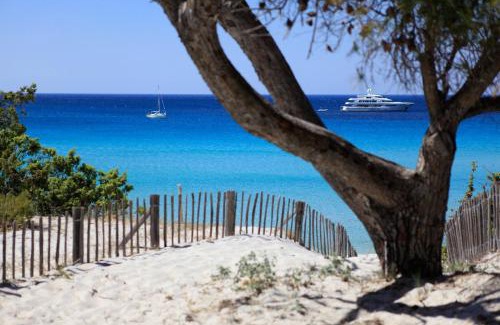 Barbaggio Apartamento | L'Albritu