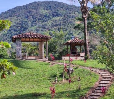 Santo Domingo Otro | Finca PiedrAlta Cisneros