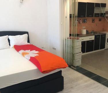 Backa Palanka Apartamento | Misel Apartman Backa Palanka