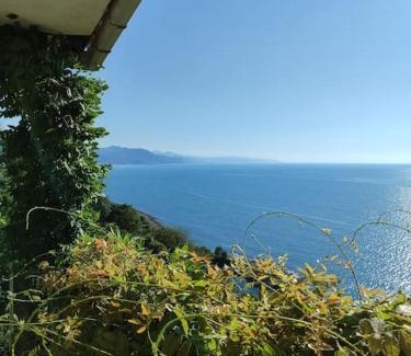 Cayeli Casa | Kemer Kır Evi