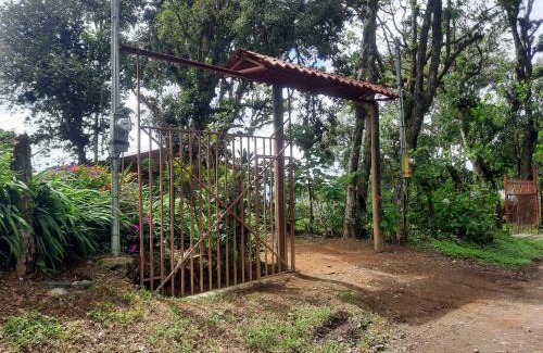 Roble Otro | Finca raíces del pasado