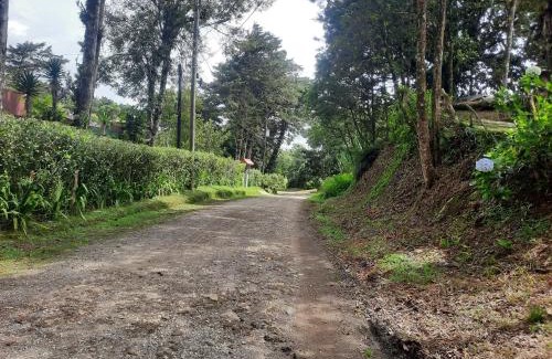 Roble Otro | Finca raíces del pasado