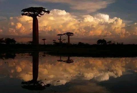 Morondava Otro | Madagascarmystery Tour Operator
