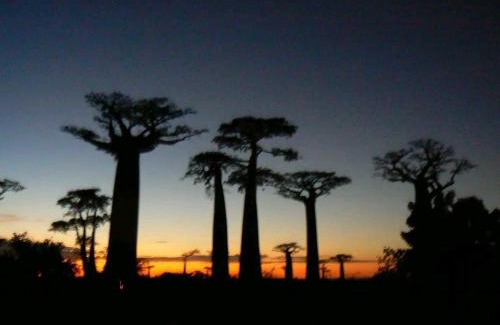 Morondava Otro | Madagascarmystery Tour Operator