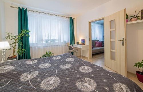 Banska Stiavnica Apartamento | Apartmán Schemnitz Classic