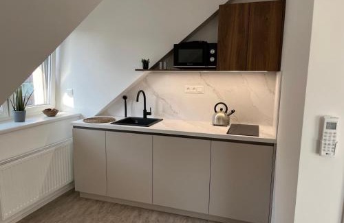 Slavicin Apartamento | Penzion J&P