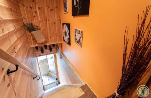 Ancelle Casa | Le Petit Renard