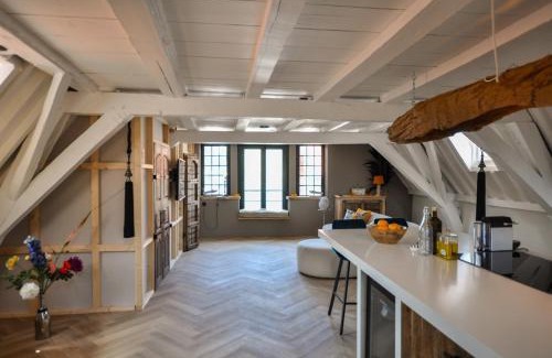 Binnenstad Apartamento | Anno 1706 apartments