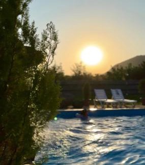 Kvareli Casa | Sunny Kvareli