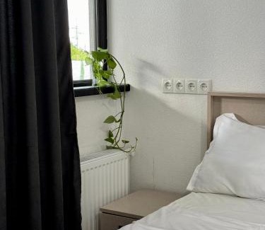 Kvareli Casa | Sunny Kvareli
