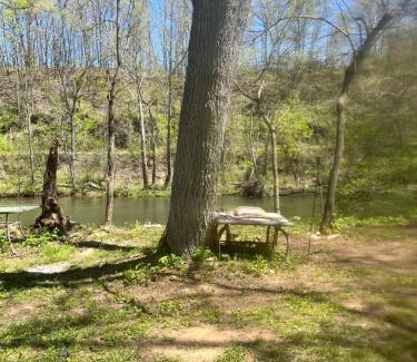 Covington Otro | Shirleys River Retreat
