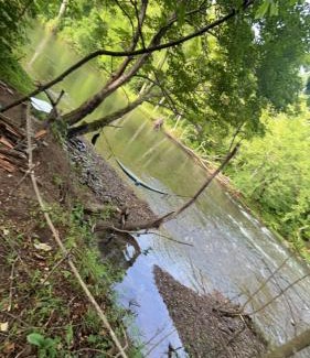 Covington Otro | Shirleys River Retreat