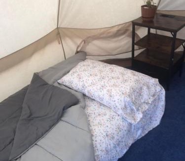 Rosarito Otro | Tipy Tent