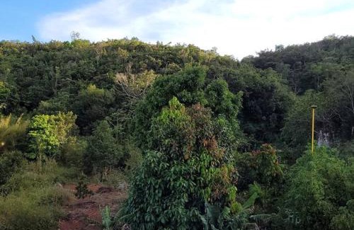 Mandeville Apartamento | Mountain view peaceful Abodes