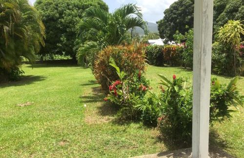 Lamentin Casa | Dans un coin de verdure