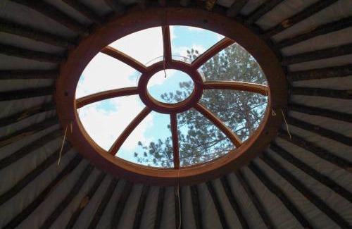 Brownfield Otro | Allie Mae Yurt nestled in the woods