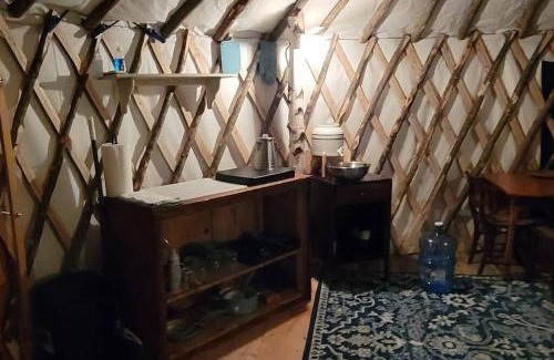 Brownfield Otro | Allie Mae Yurt nestled in the woods