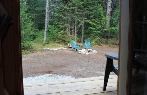 Brownfield Otro | Allie Mae Yurt nestled in the woods