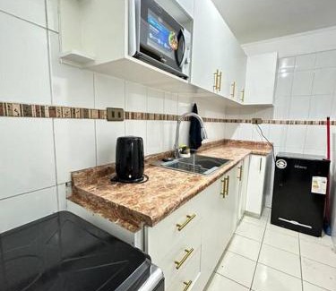Copiapo Apartamento | Copiapo City
