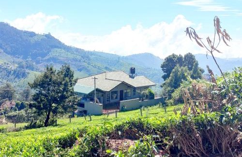 Coonoor Casa | RINKOOS MOUNTAINS & mist