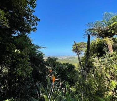 Swanson Cama Y Desayuno | Swanson-Waitakere Stay in Scenic Sunrise