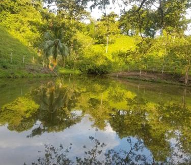 Puerto Triunfo Hotel | Hotel Campestre El Refugio de Las Guacamayas