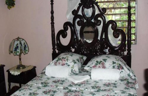Rollington Town Casa | 15 minutes from Kingston airport