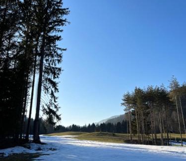 Gozd Martuljek Apartamento | Quiet ground flat