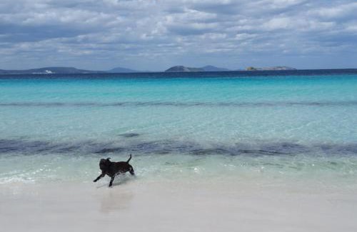 Goode Beach Otro | Goode Beach Pelican Glamping