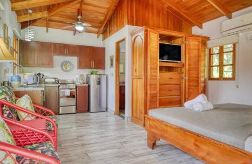 Ojochal Apartamento | Colibri Casitas