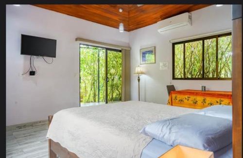 Ojochal Apartamento | Colibri Casitas