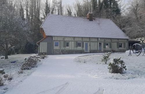 Offranville Casa | Aux oiseaux qui chantent !