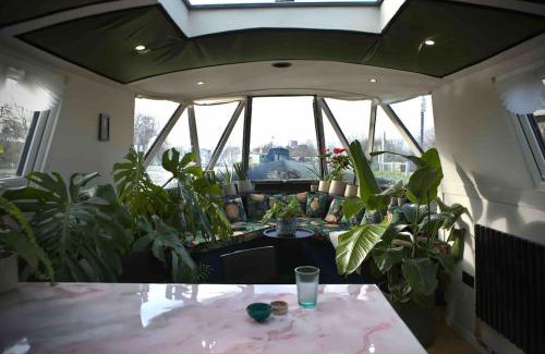 Hackney Wick Apartamento | The Floating Terrarium Teliegram_LovelyAppartmentsJean
