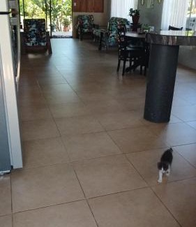 Bijagua Casa | Casa Isabella