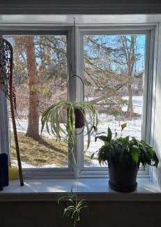 Ottawa Division Casa | Nature Retreat in the city