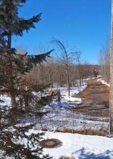 Ottawa Division Casa | Nature Retreat in the city