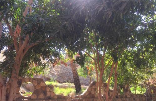 Bawati Hotel | New Oasis