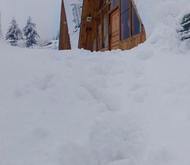 Mohal Casa | Sky Mount Cottage