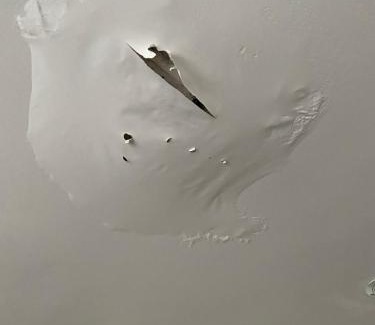 Markham Apartamento | Rabbit small hole