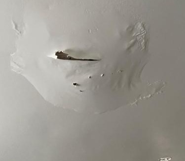Markham Apartamento | Rabbit small hole