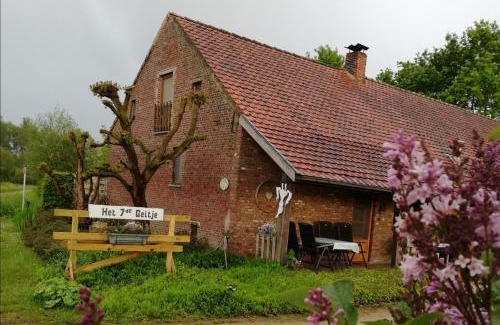 Veerle Casa | Het zevende geitje