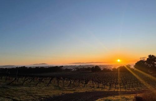 Ararat Otro | Cosy Glamping Tent 1