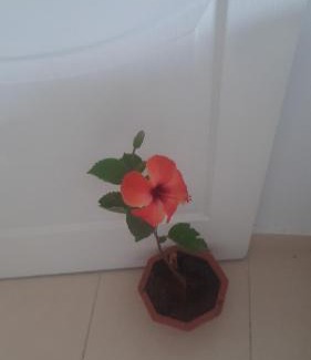 Gueznaia Apartamento | المنزل الرحاحة