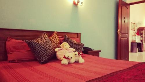 Ja-Ela Apartamento | sapphire clover